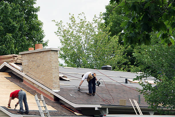Professional Roofing Contractor in Jasmine Estates, FL